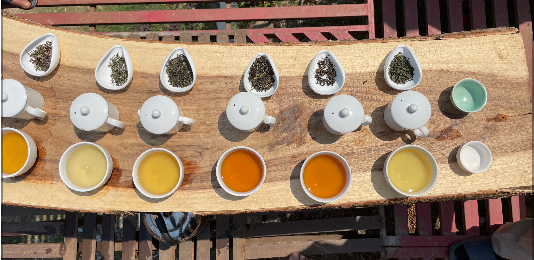 imageDiscover the Diverse Flavors of Tea with Tea Rebellion's Loose Tea Collection