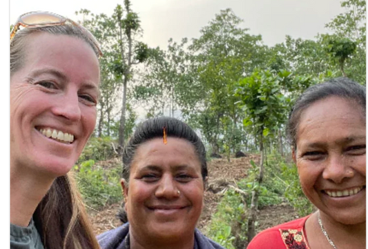 5 Sustainable Tea Practices for Tea Lovers