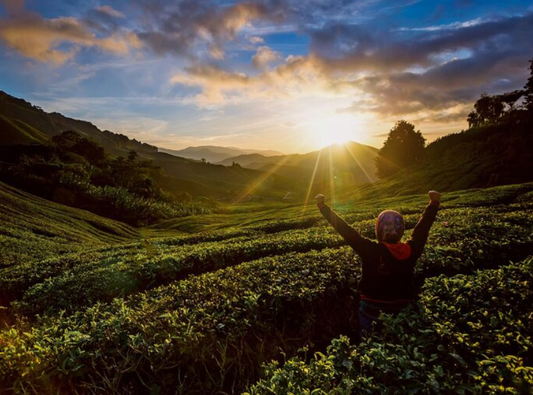 A Heartfelt Thank You: Brewing Change Together