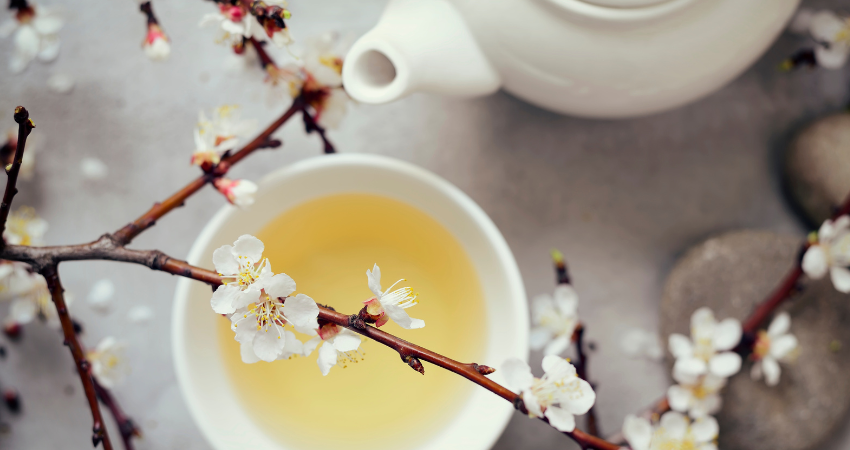 Discover the Exquisite Flavor of White Prakash Tea