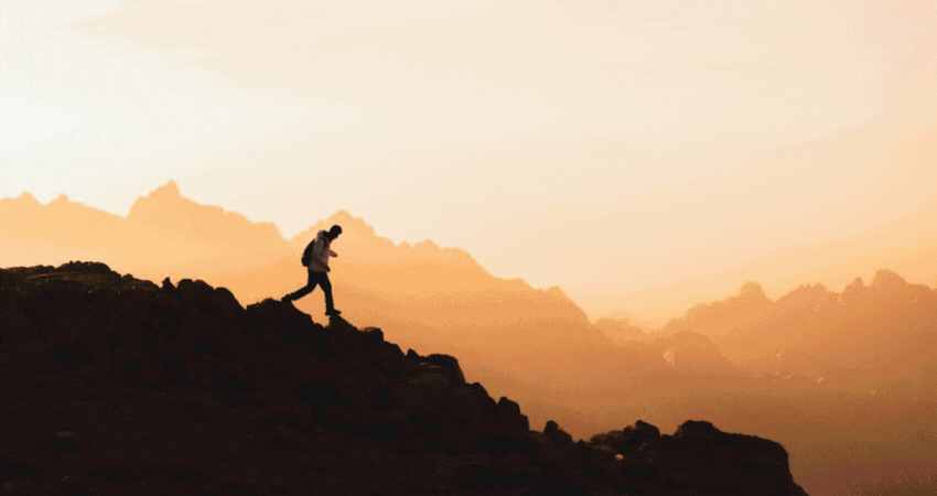 Immersive Tea Tourism - Join the Tea Rebellion trip