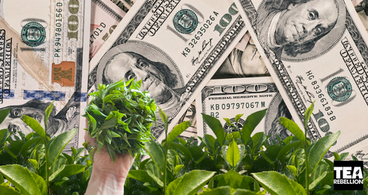 Certifications vs. Alternatives: The Burden on Tea Farmers