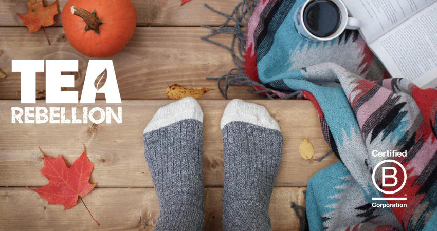 Celebrating Our B Corp Recertification 