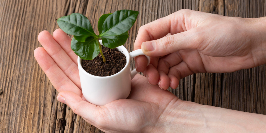 Thank You for a Successful Green Friday 2025