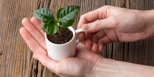 Thank You for a Successful Green Friday 2025