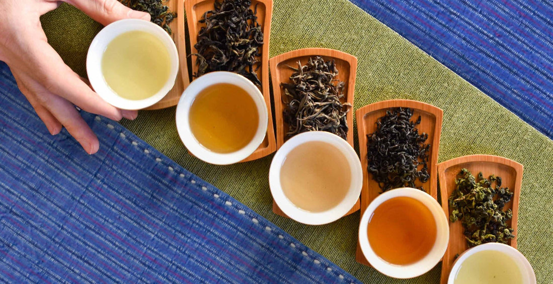 Explore the World of Cooperative Teas