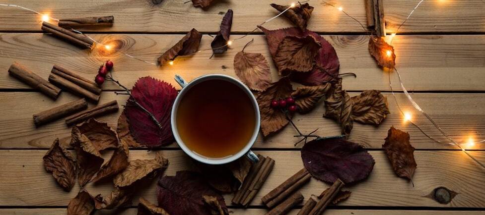 How to use Tea for Your Benefit This Wintertime