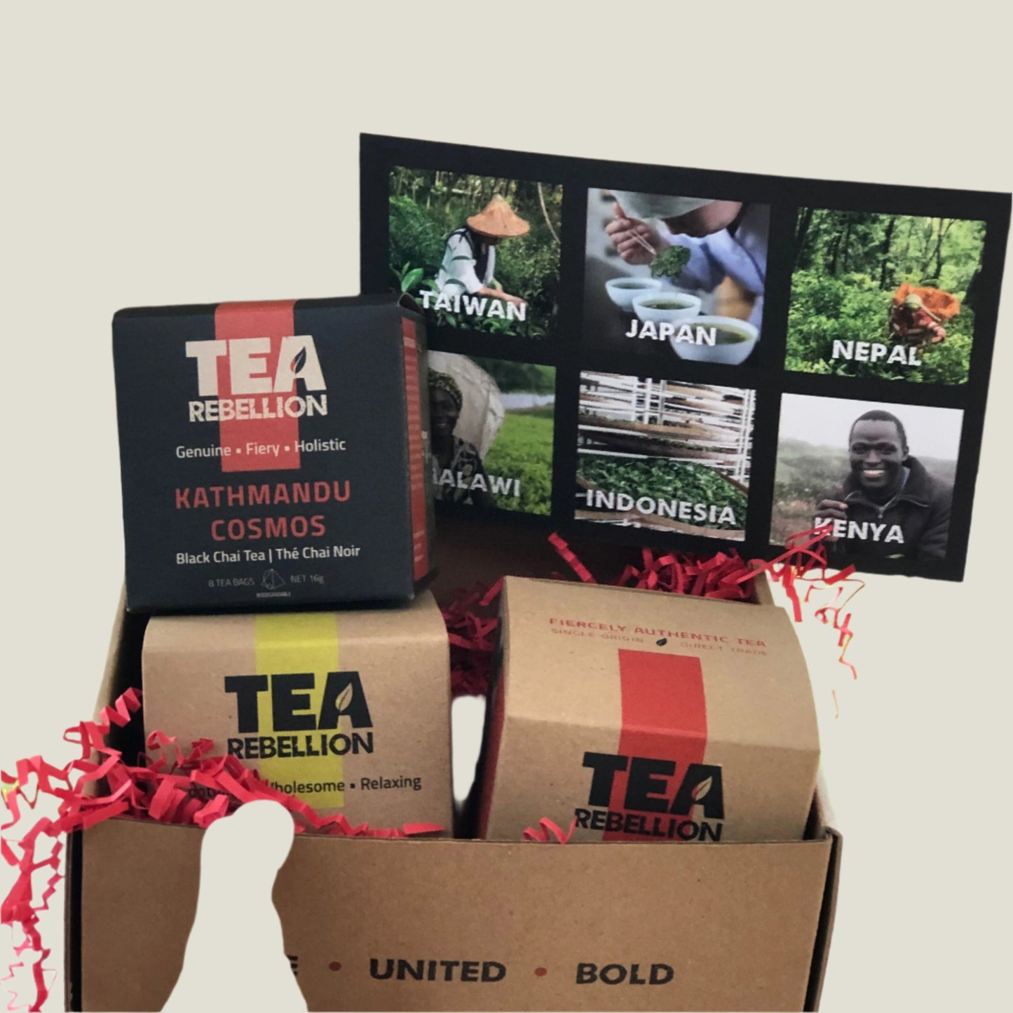 Tea Rebellion Variety Box UK