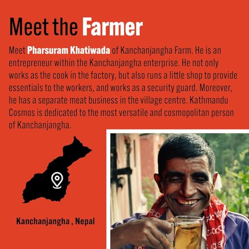 Tea Rebellion Variety Box UK