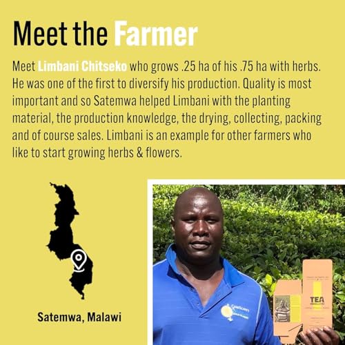 Tea Rebellion Variety Box UK