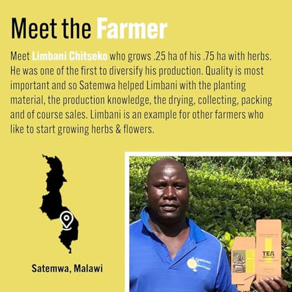 Tea Rebellion Variety Box UK