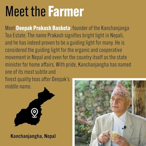 Tea Rebellion Variety Box UK