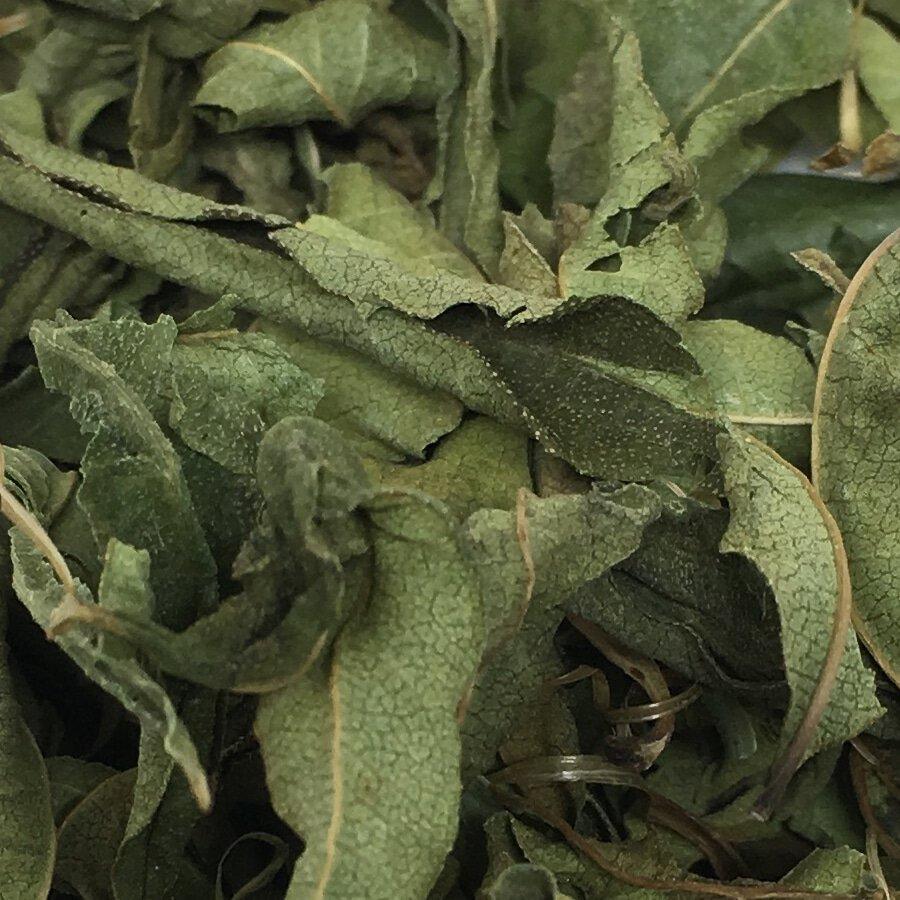 Lemon Verbena from Malawi, Satemwa tearebellion.work