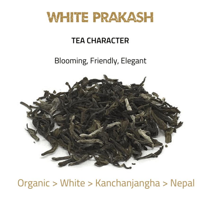 Toronto Tea Festival 2020 Winners - tearebellion