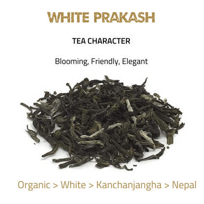 Toronto Tea Festival 2020 Winners - tearebellion